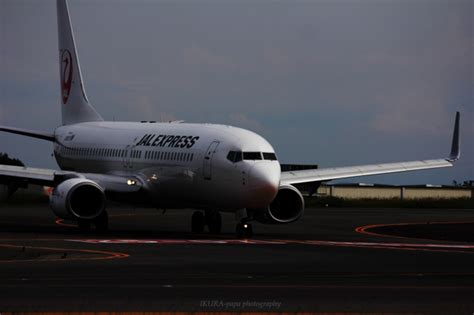 9201pts|jal adr ikura.